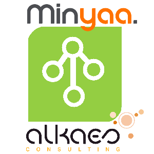 Minyaa Workflows
